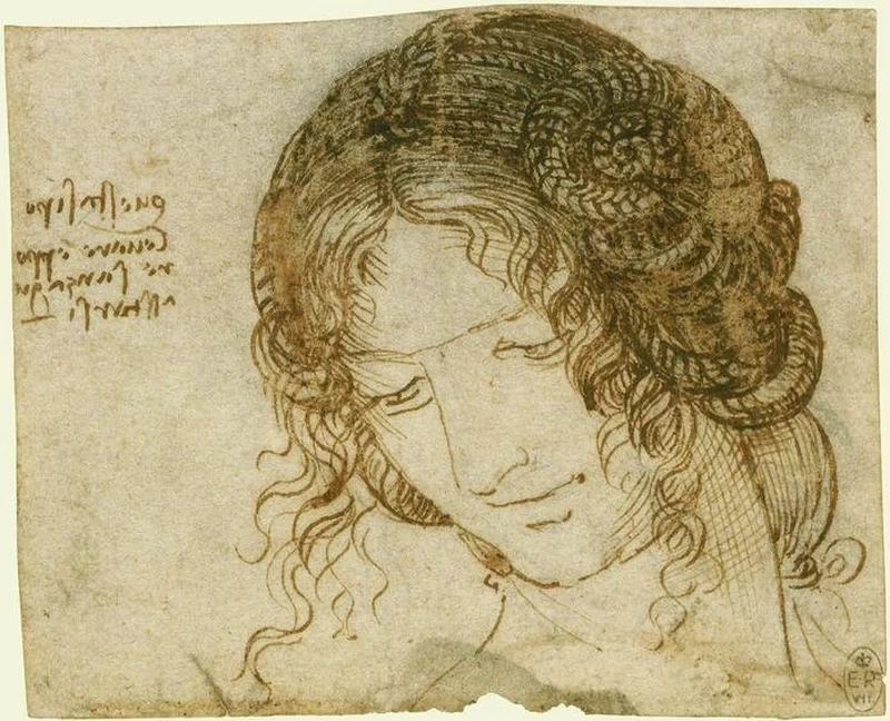 99-studio di testa di Leda